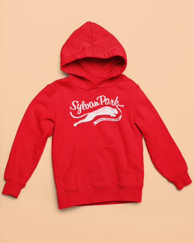 Sylvan Park Youth Hoodie